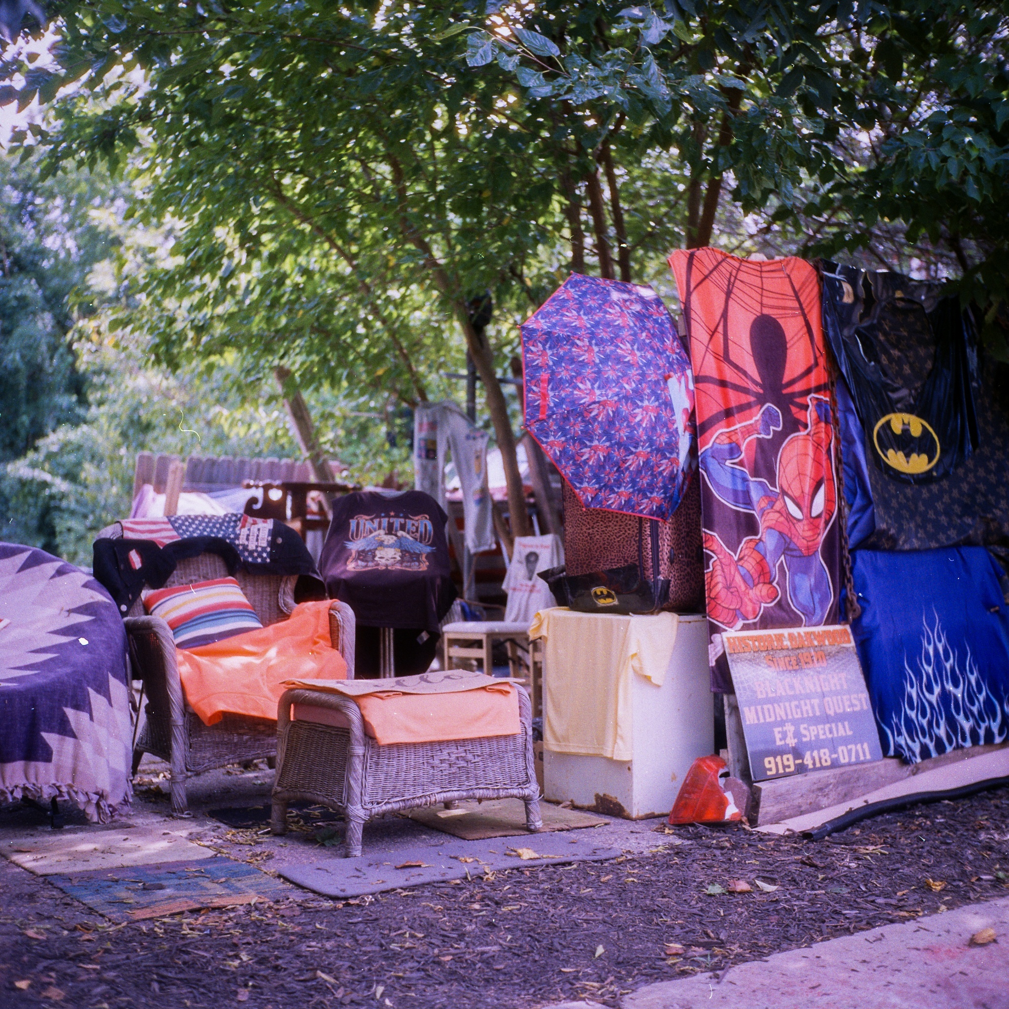 Historically Quirky - 1602 Oakwood Ave