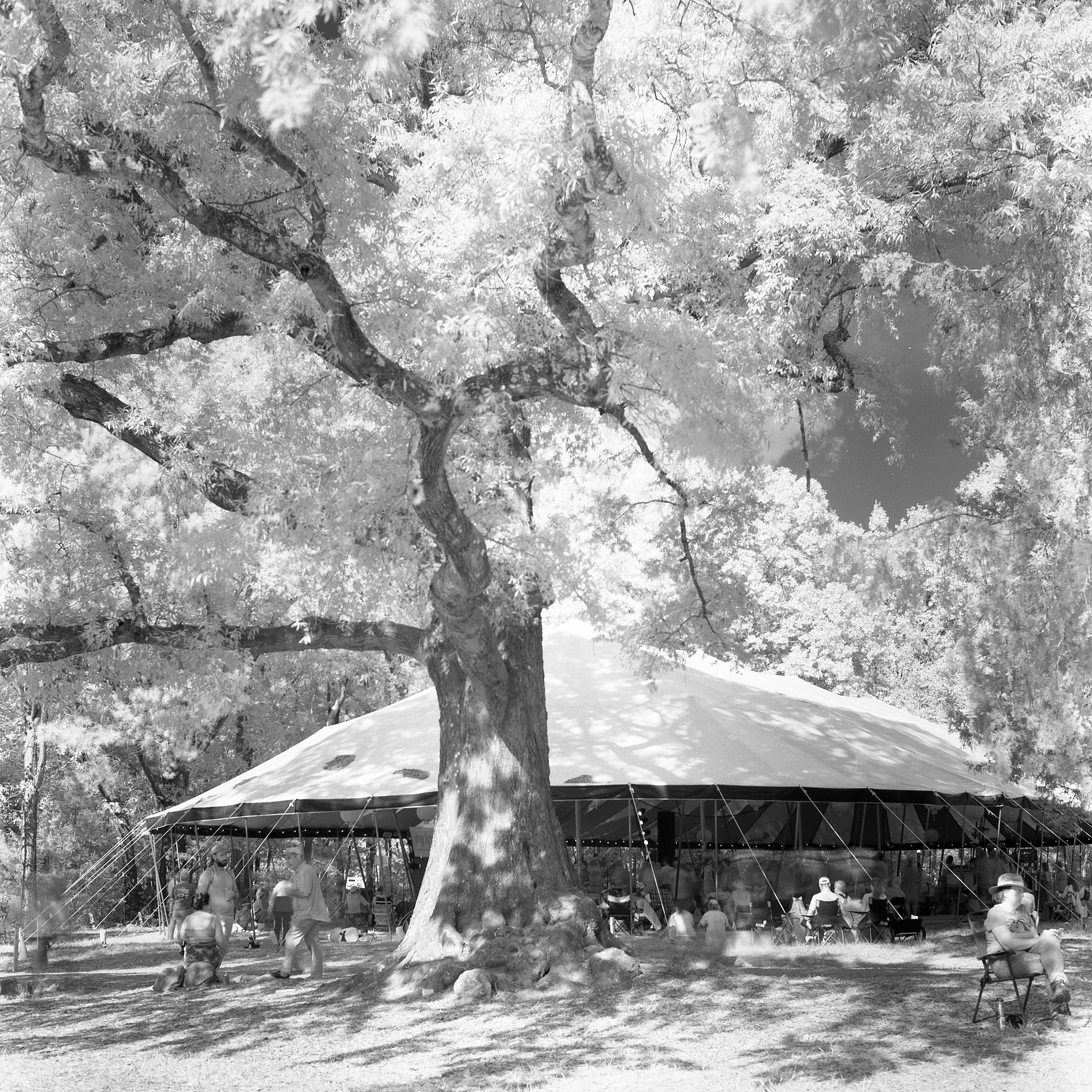 Dance Tent IR - Shakori Hills Festival