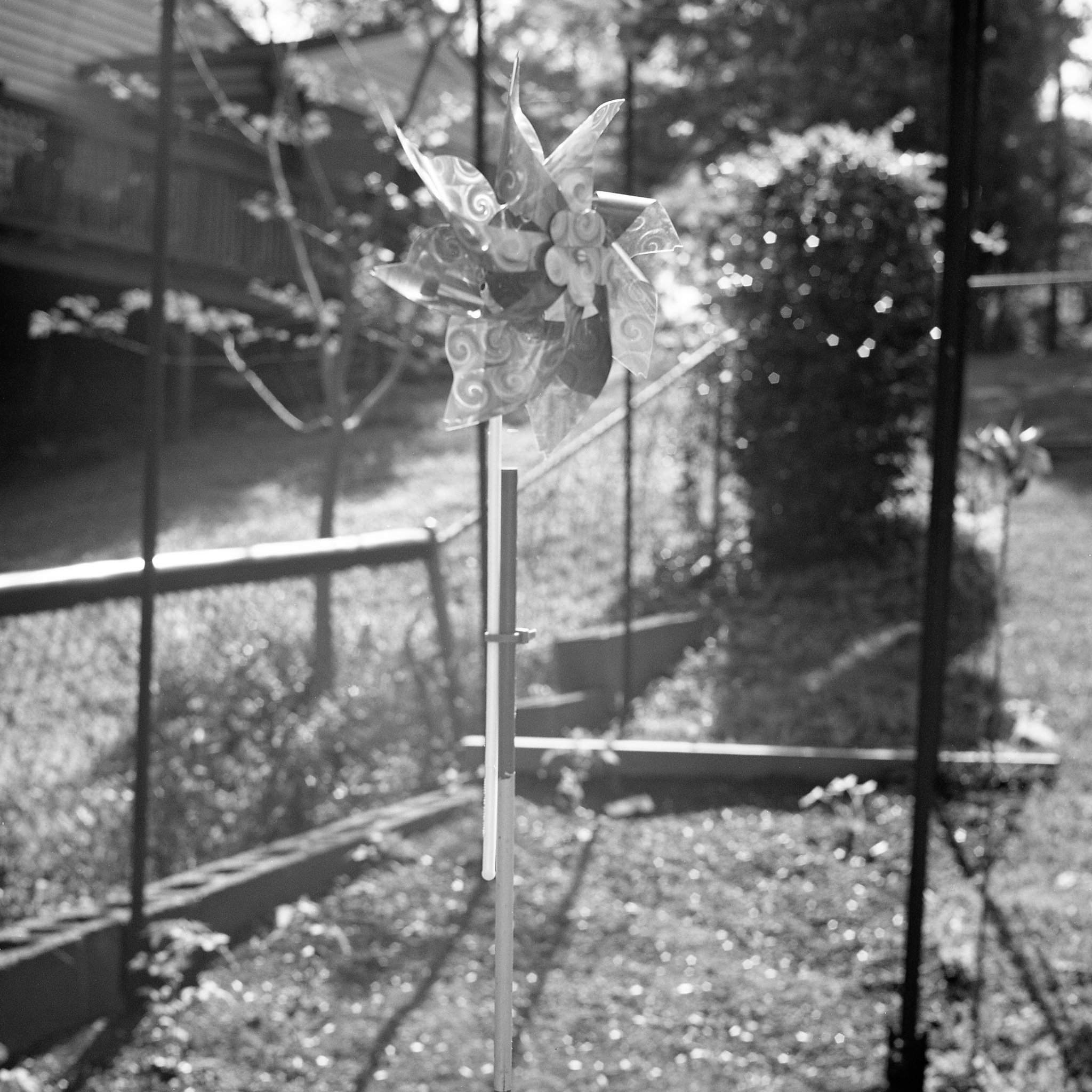 'mater Plot Pinwheel - Home