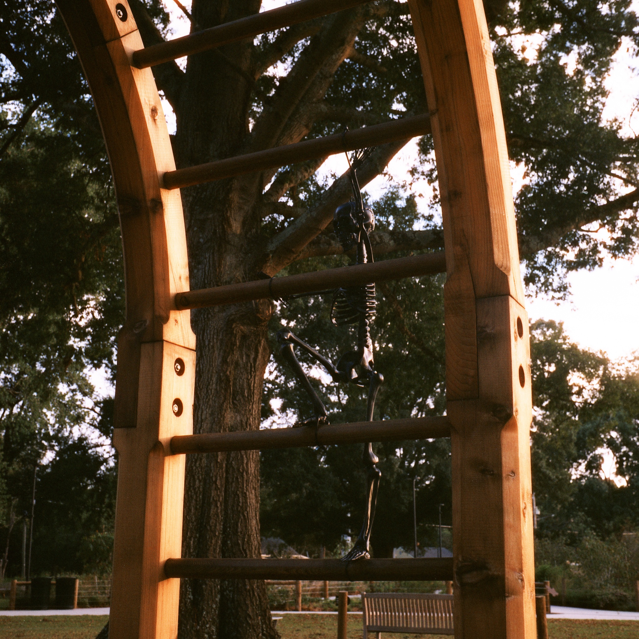 Gipson Skeleton - Raleigh, NC